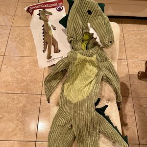 Dinosaur costume